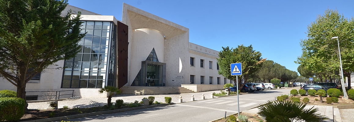 CEFAGE-UALG_Center_for_Advanced_Studies_in_Management_and_Economics_of_the_University_of_Algarve_2019_01.jpg